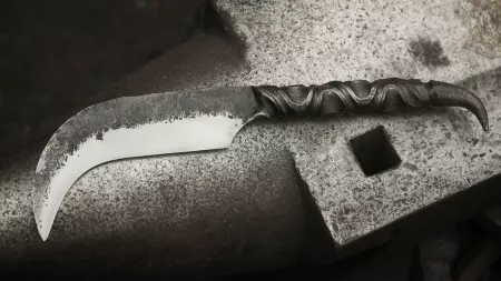 Image de présentation du stage de Garry